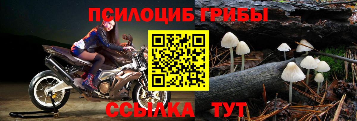 Псилоцибиновые грибы Magic Shrooms  Вход с VPN  купить наркотик  Чернушка 